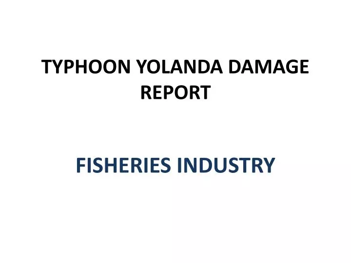 typhoon yolanda damage report