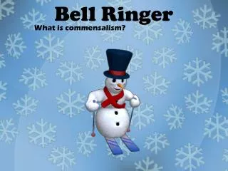 bell ringer