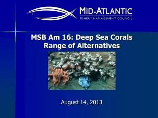 MSB Am 16: Deep Sea Corals Range of Alternatives