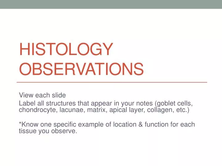 histology observations