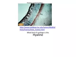 Hyaline