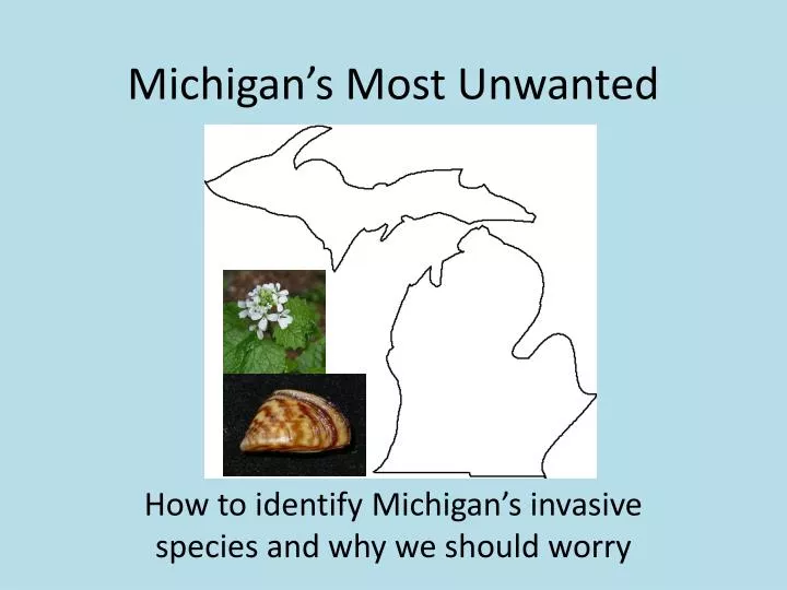 michigan s most unwanted