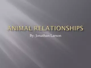 Animal relationships