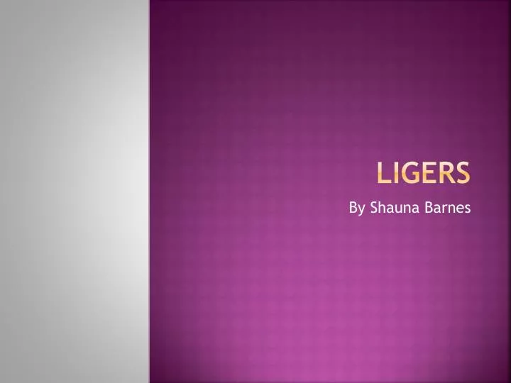 ligers