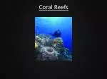 Coral Reefs