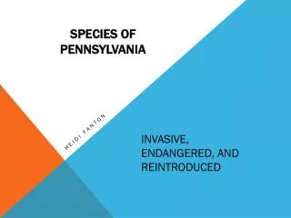 Invasive, Endangered, and Reintroduced