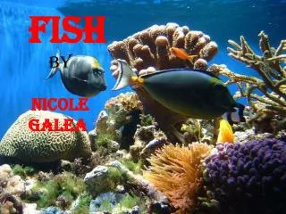 Fish by nicole galea