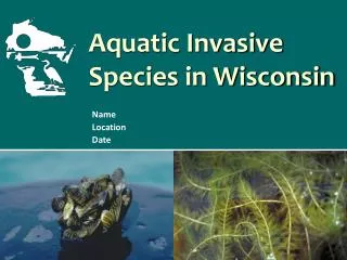 Aquatic Invasive Species in Wisconsin