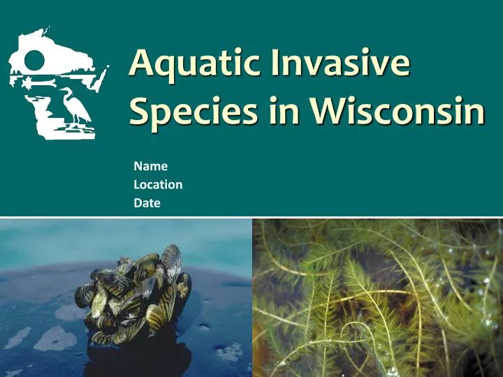 aquatic invasive species in wisconsin