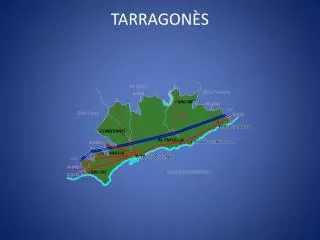 tarragon s