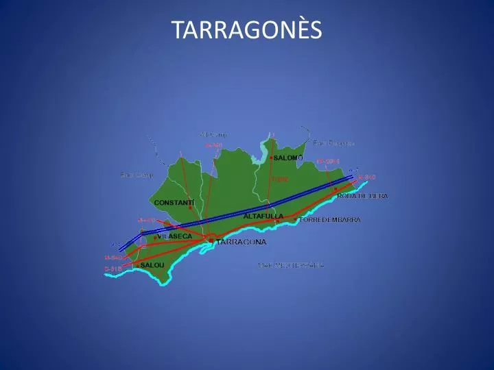 tarragon s