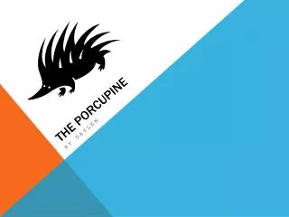 The porcupine
