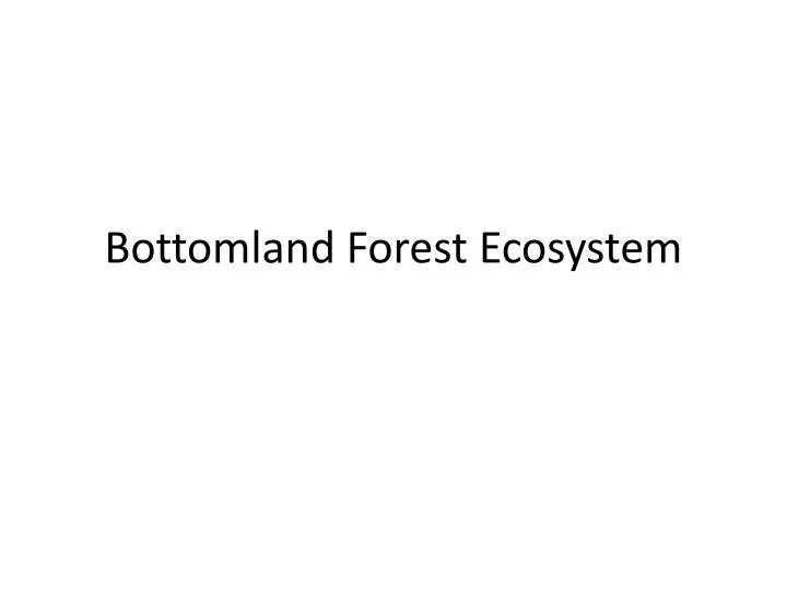 bottomland forest ecosystem