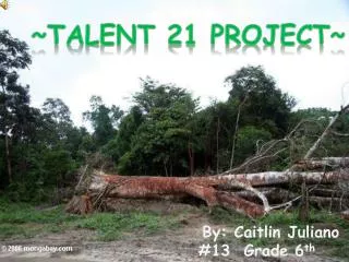 ~Talent 21 project~