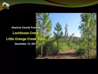 Alachua County Forever Lochloosa Creek Little Orange Creek Tract December 13, 2011