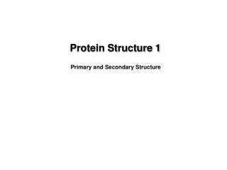 Protein Structure 1