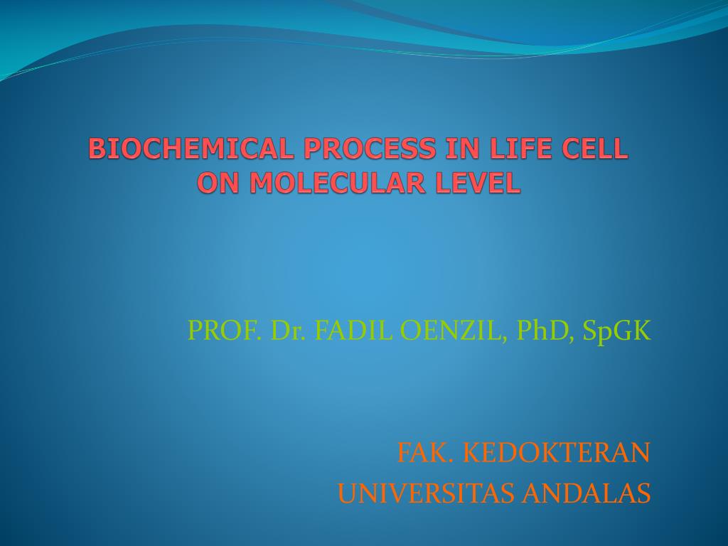 PPT - BIOCHEMICAL PROCESS IN LIFE CELL ON MOLECULAR LEVEL PowerPoint ...