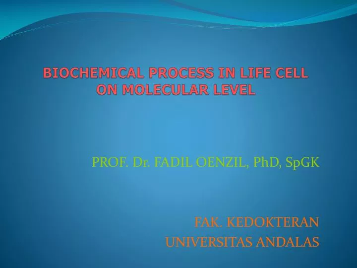 biochemical process in life cell on molecular level