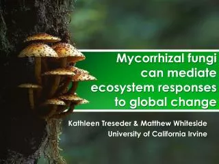 Mycorrhizal fungi can mediate ecosystem responses to global change