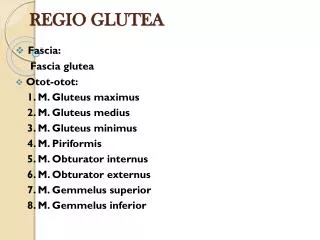 regio glutea