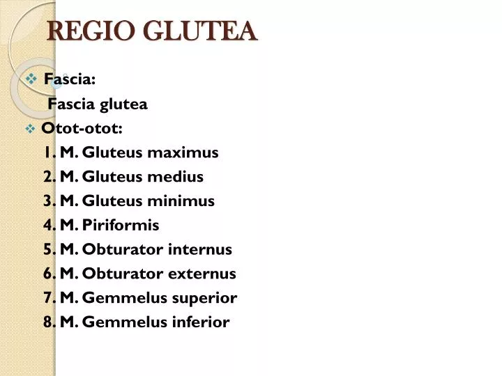 regio glutea
