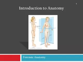 Forensic Anatomy
