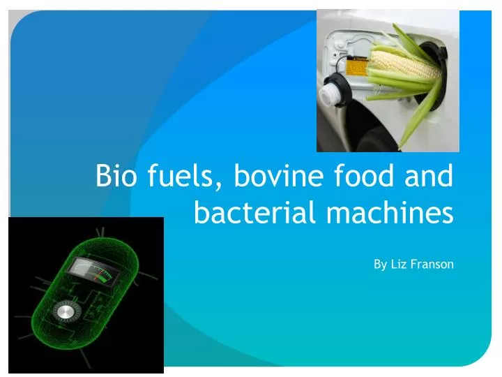 bio fuels bovine food and bacterial machines