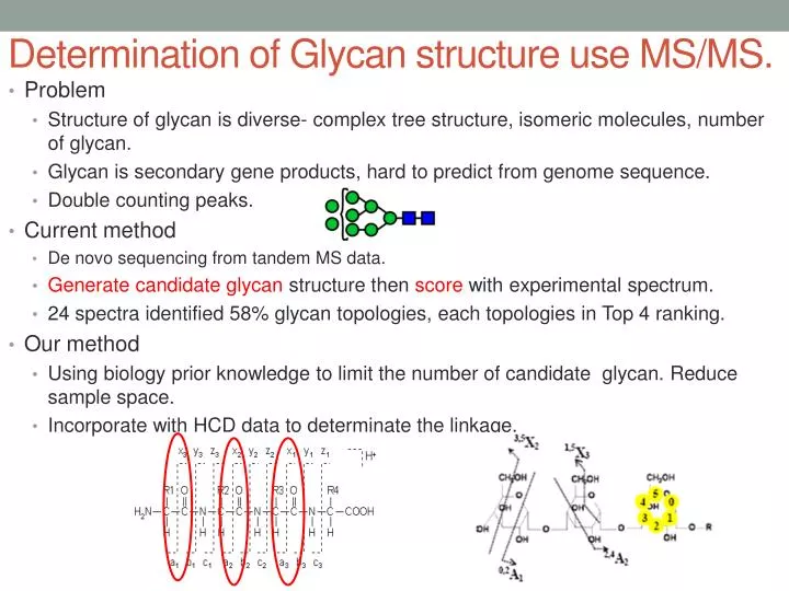 determination of glycan structure use ms ms