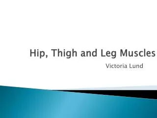 Hip, Thigh and Leg Muscles