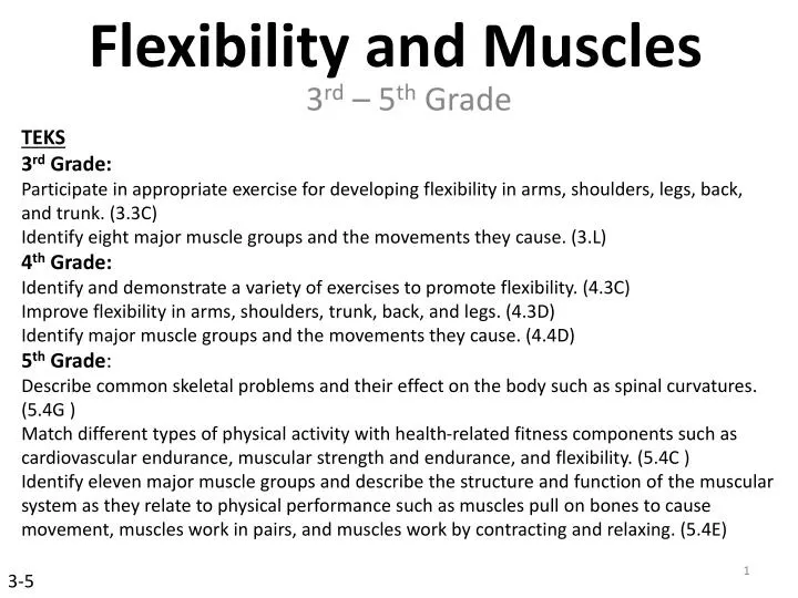 flexibility and muscles