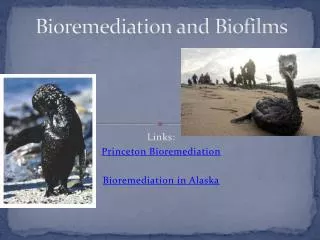 Bioremediation and Biofilms