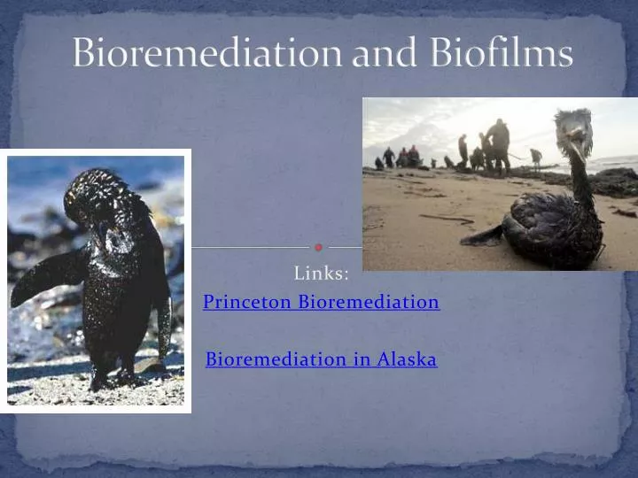 bioremediation and biofilms