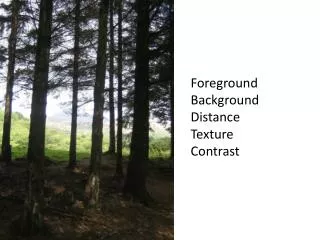 Foreground Background Distance Texture Contrast