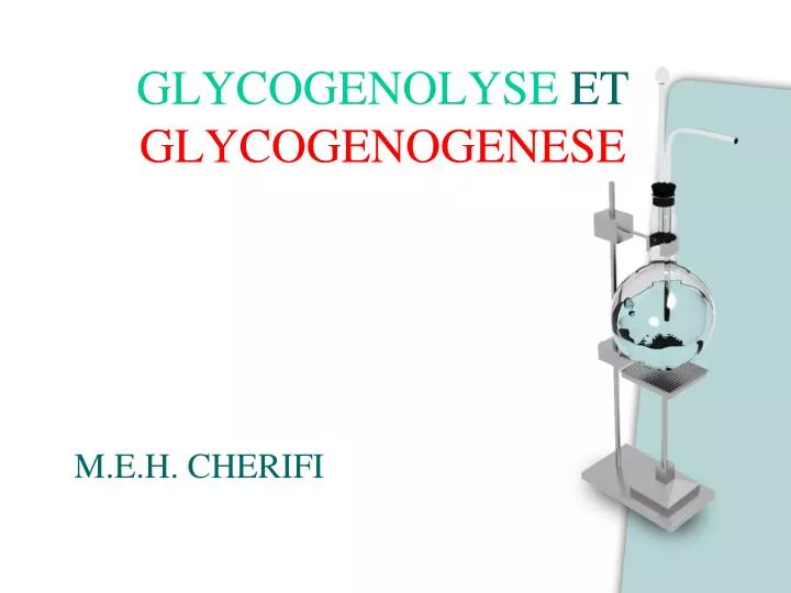 glycogenolyse et glycogenogenese