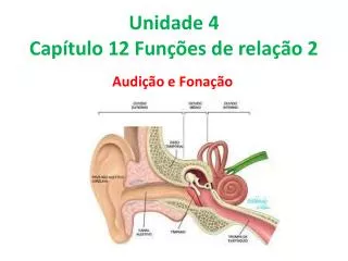 Unidade 4 Capítulo 12 Funções de relação 2