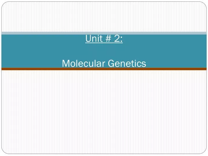 unit 2 molecular genetics