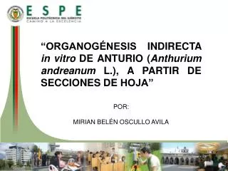 POR: MIRIAN BELÉN OSCULLO AVILA