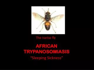 AFRICAN TRYPANOSOMIASIS