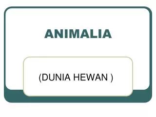 animalia