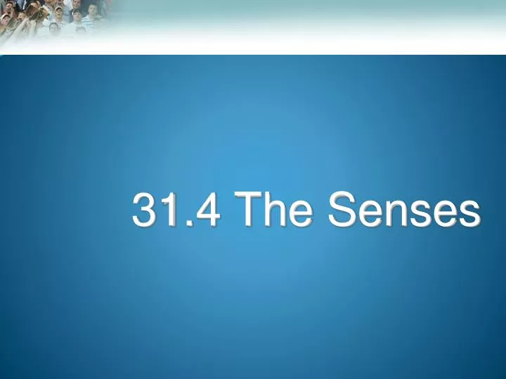 31 4 the senses