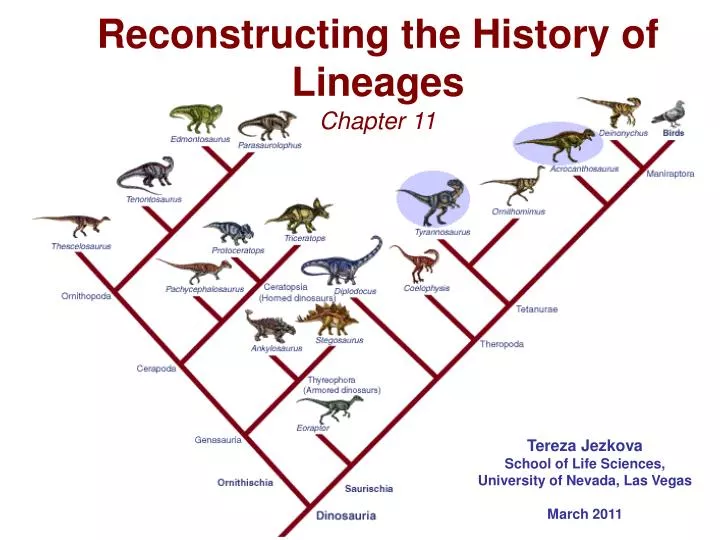 reconstructing the history of lineages
