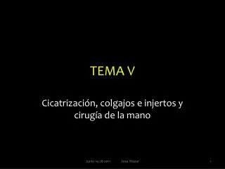 tema v