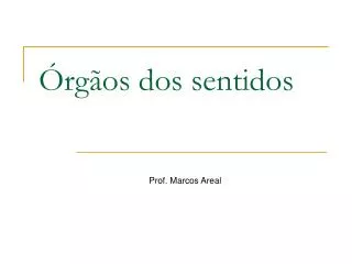 rg os dos sentidos