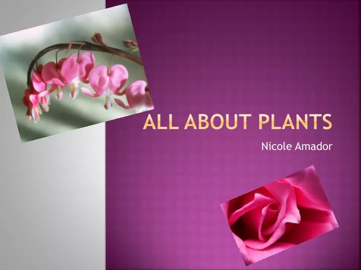 all about plants