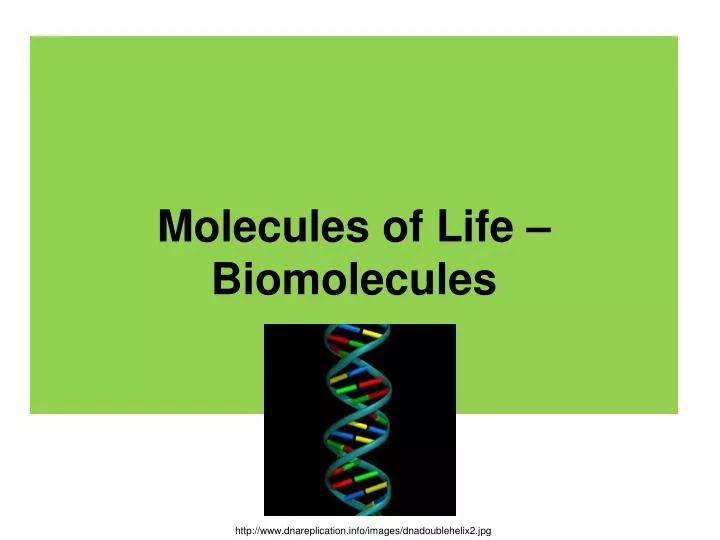 molecules of life biomolecules