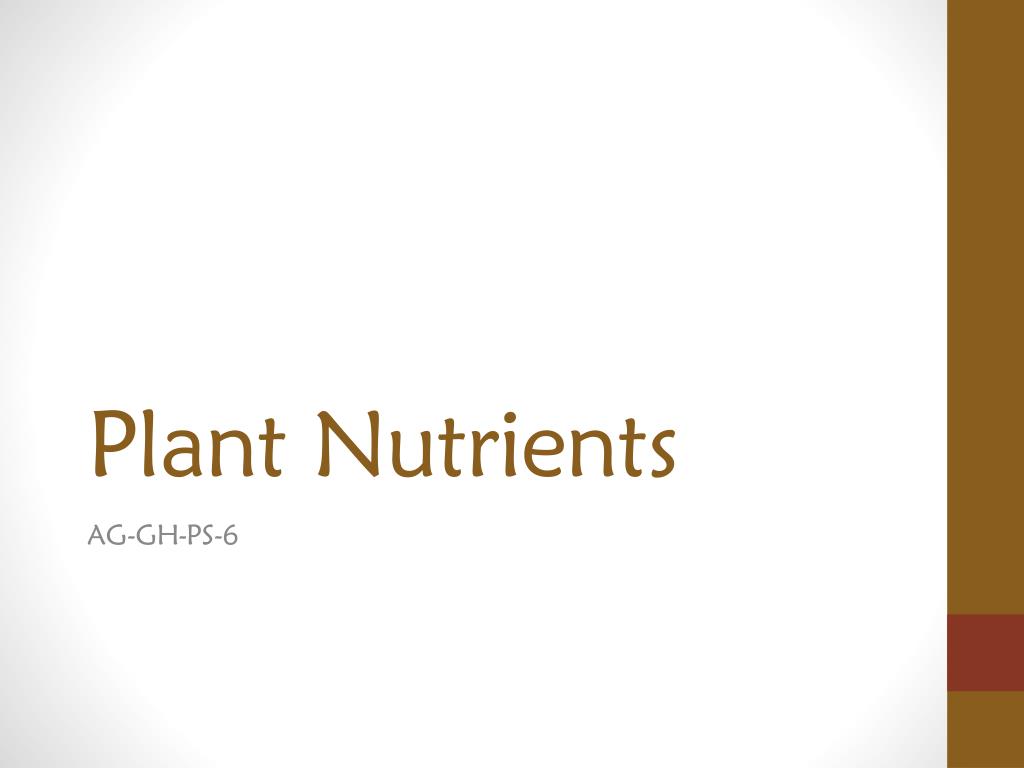 Ppt Plant Nutrients Powerpoint Presentation Free Download Id 2143086