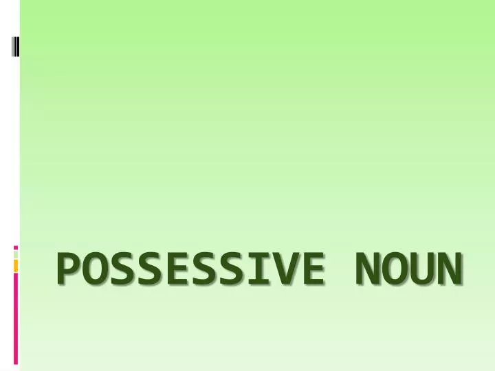 possessive noun