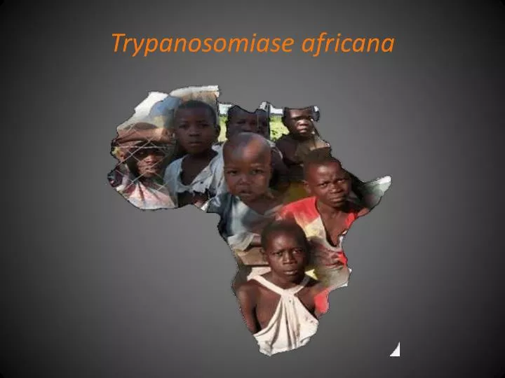 trypanosomiase africana