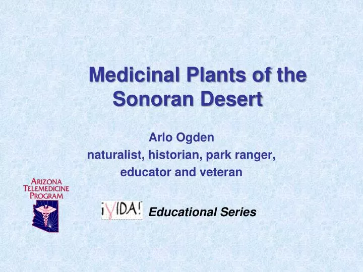 medicinal plants of the sonoran desert
