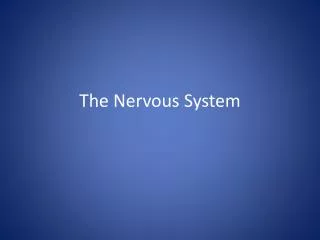 The Nervous System